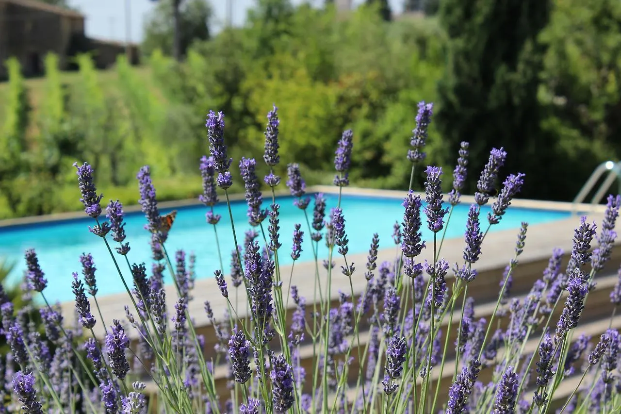 Villa Privata Per Famiglie O Amici Barberino Val d'Elsa Italy